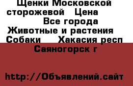 Щенки Московской сторожевой › Цена ­ 35 000 - Все города Животные и растения » Собаки   . Хакасия респ.,Саяногорск г.